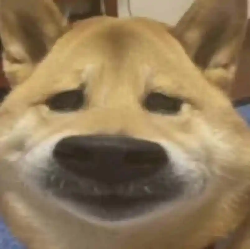 精神状态良好 #沙雕表情包 emo了 - 抖音