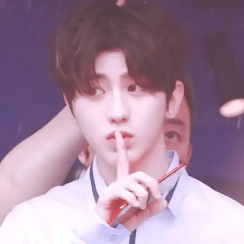 蔡徐坤头像顺毛小坤徐之