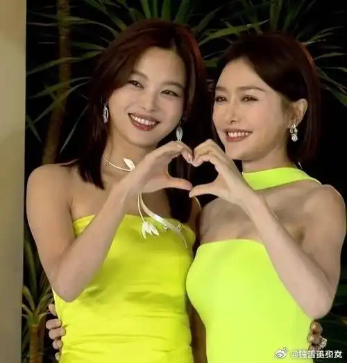 秦岚辛芷蕾是官宣的意思吗