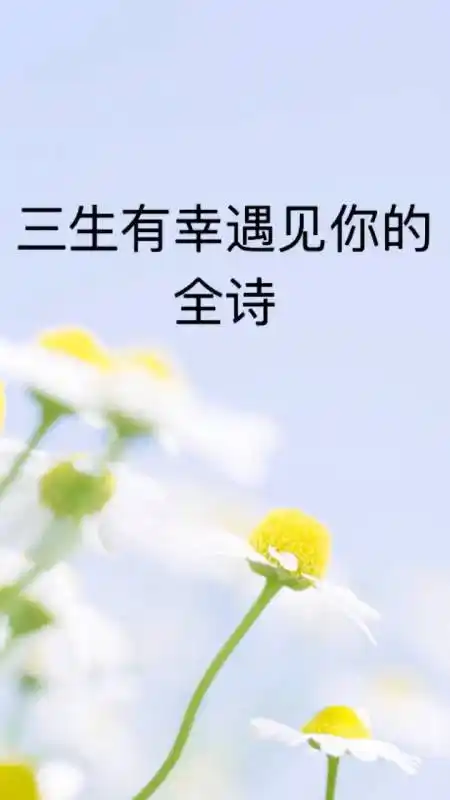 我来告诉你三生有幸遇见你的全诗