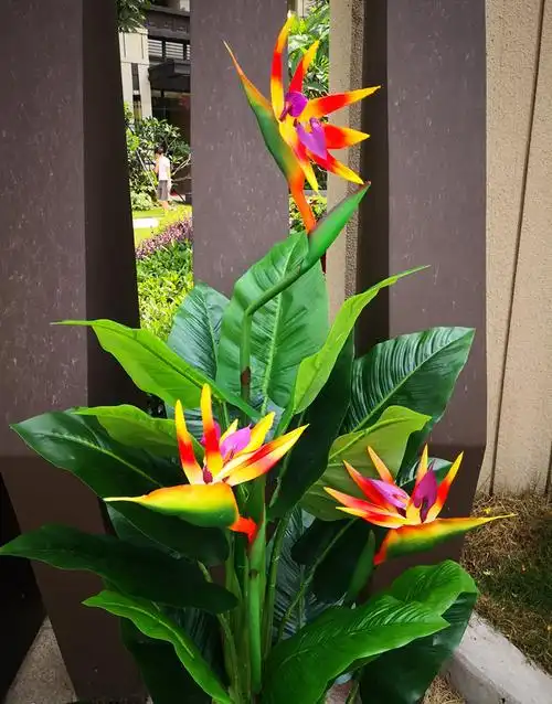 旅人蕉酒店大厅摆放绿植 盆栽室内外摆设假树 天堂鸟红掌假花树