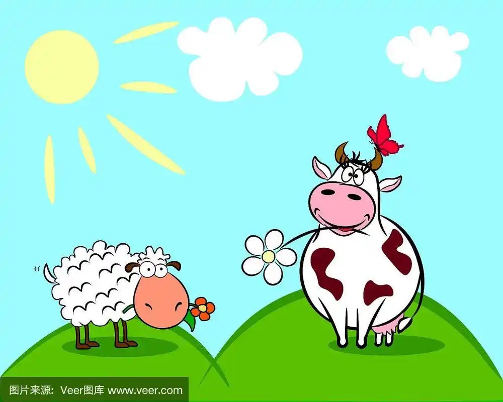 牛和羊