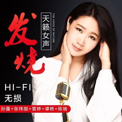 车载音乐u盘高音质hifi无损发烧女声歌曲孙露雷婷张玮伽陈瑞龚玥谭艳