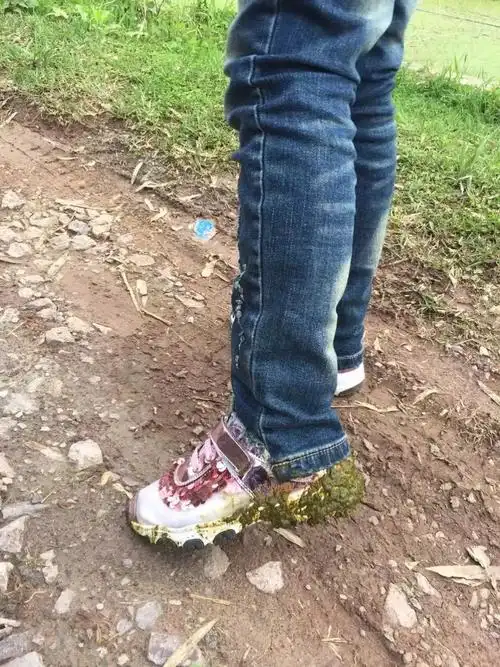 踩到牛粪了.呕吐.鞋子我刷的!