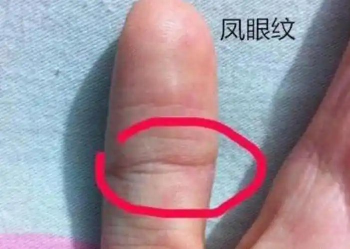 手中有"凤眼"的女人,钱财不断,富贵有余,非常难得的好手相