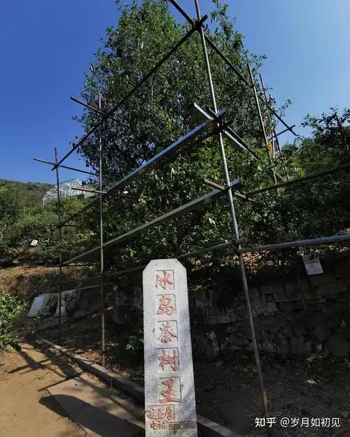 冰岛老寨,何以为后?