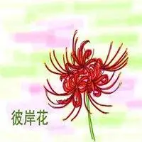 彼岸花忧伤唯美古风_微信头像图片大全