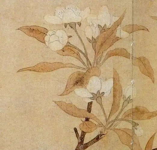 元代钱选《梨花图》欣赏!