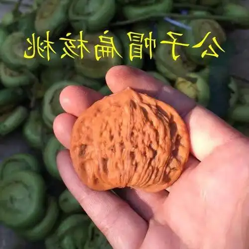 共82 件扁核桃文玩心形相关商品