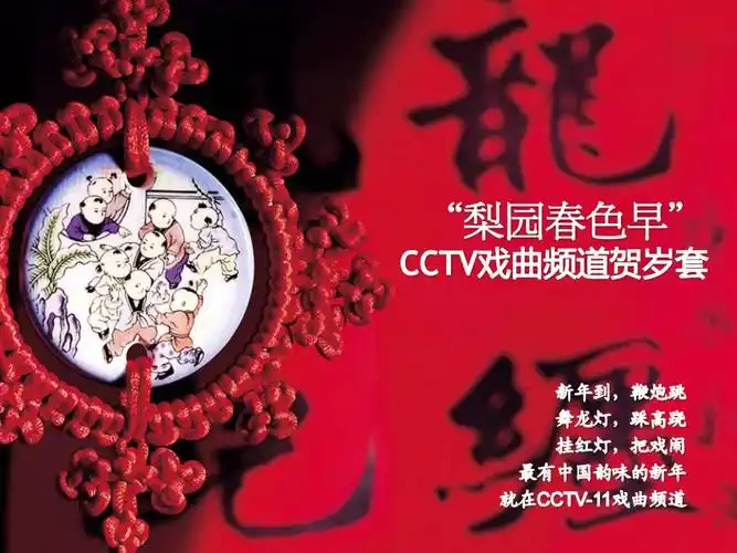 cctv11贺岁套