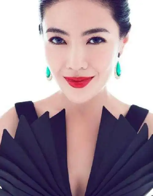 娱乐圈众多明星的财神爷,杨幂李冰冰的金主,她的背景人脉那么强_网易