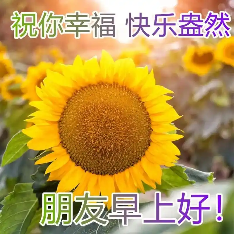 非常漂亮早上好图片带字 最新最美早上好表情图片