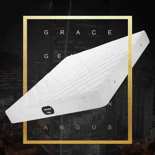 【晚安床垫】高档针织面料 高密海绵 3e环保棕 邦尼尔弹簧床垫 20cm