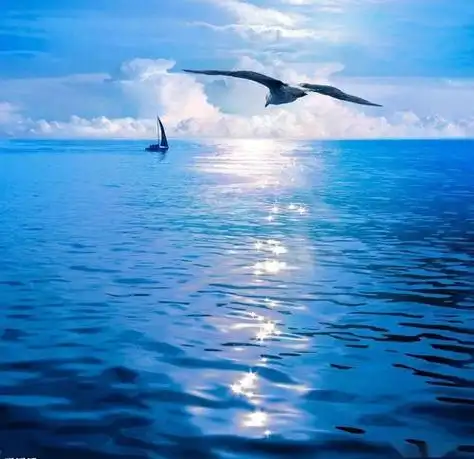 大海和帆船的微信头像 - 搜狗图片搜索