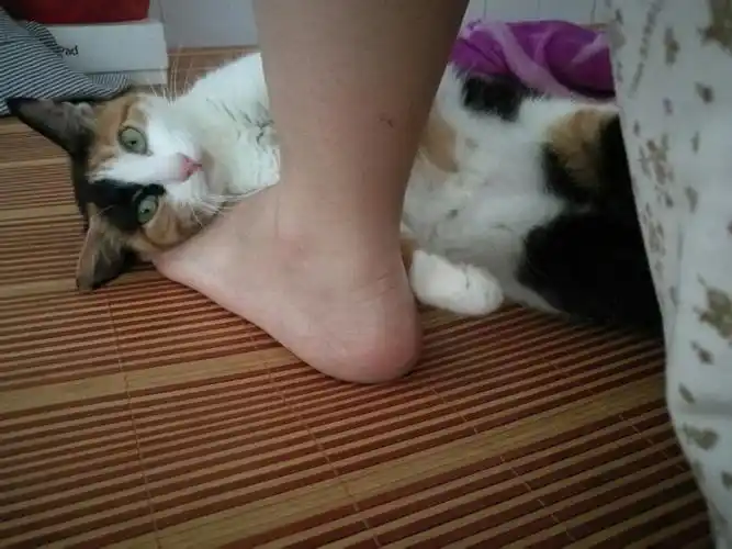 闻闻还咸咸滴奴才,回答我,这是什么个意思,为什么拿臭脚丫子给朕枕着