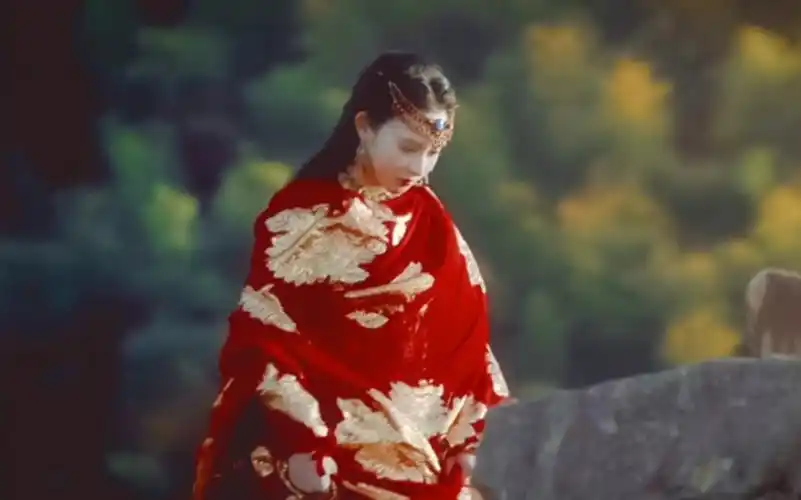 "一身红衣来东宫,一袭白衣归故里"