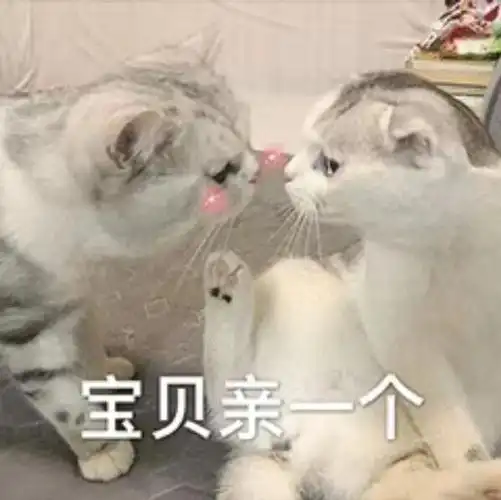 好用的情侣撒娇表情包