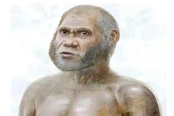 地球上第一个人是谁按照进化论生出第一个人类的是猿