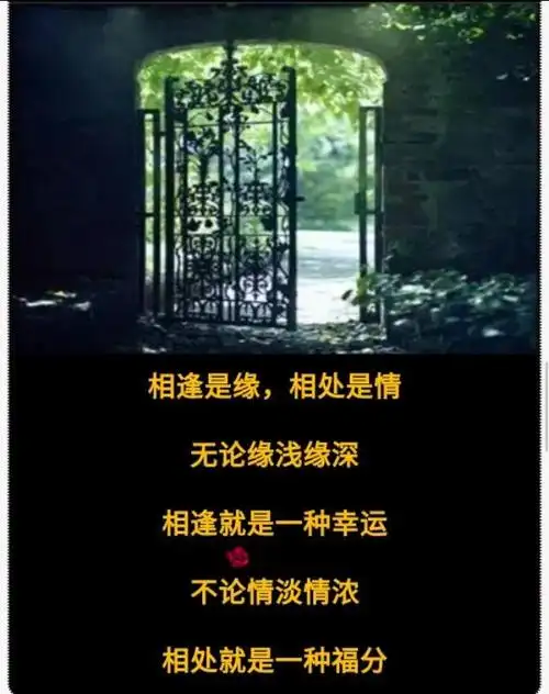 孤独的时候我又想起你,亲爱的,想你,念你,总是忘不了你!