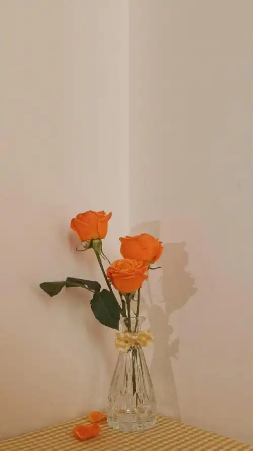 春天文艺小清新句子适合发朋友圈的春天唯美说说3