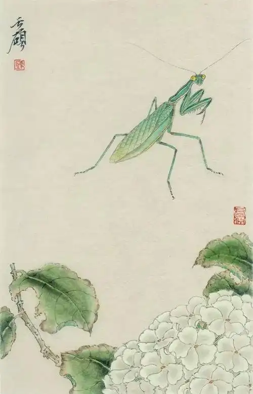 嘉得推介|陈天硕工笔草虫系列