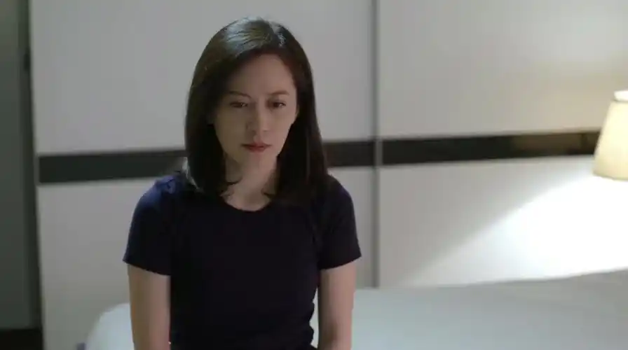 大丈夫顾晓岩没工作离婚心意已决顾母担心女婿抢孩子抚养权