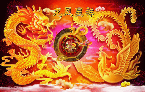 780_494gif 动态图 动图