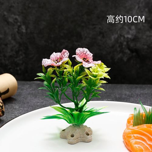 欣尔博惠酒店刺身厨师摆盘装饰花草盘饰菜品点缀创意意境装饰品冷菜小