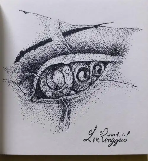 眼睛练习|纯艺术|绘画|老树林 - 临摹作品 - 站酷 (zcool)