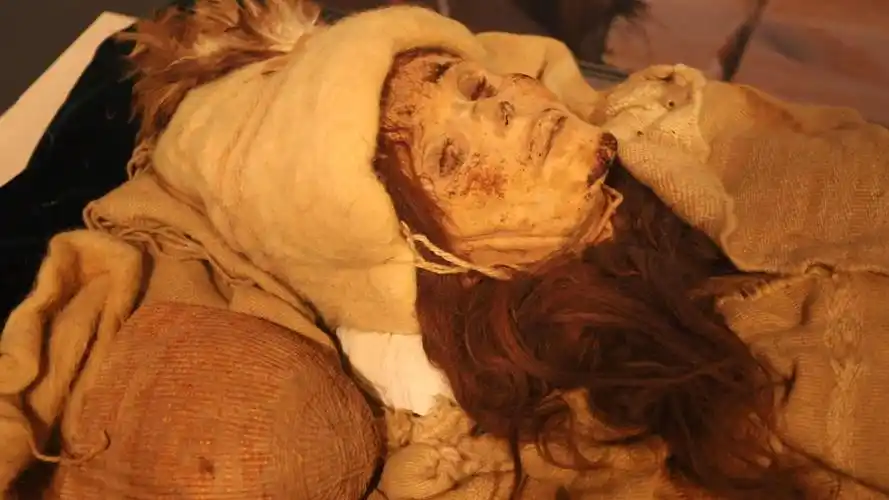 最美干尸"小河公主"罕见进京 "她好像在微笑"