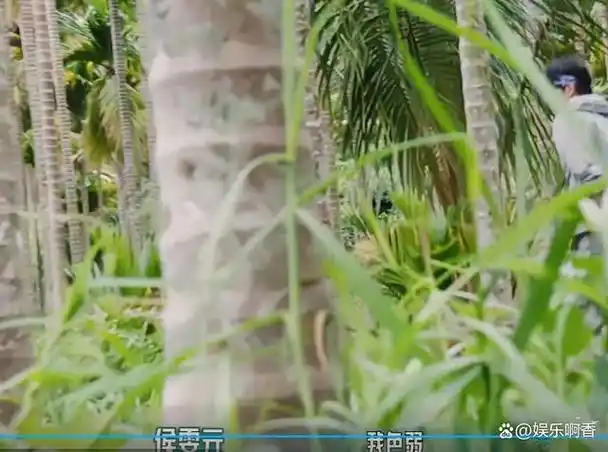 钟楚曦和张云龙究竟为何分手看下侯雯元综艺首秀你就明白了