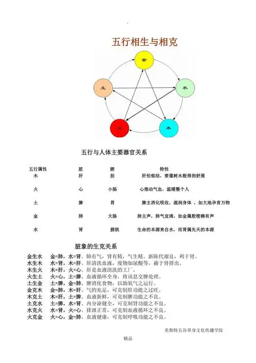 五行与人体主要器官关系