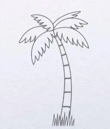 椰子树怎么画简单又好看 椰子树怎么画简单又好看