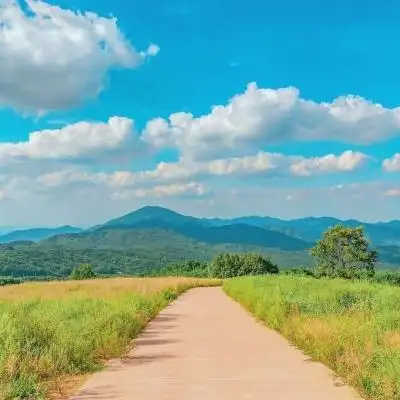 今年一定会发生很多美好的事情_风景静物头像_我要个性网