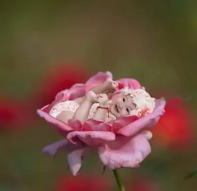 psd素材 影楼模板 儿童模板 >> 素材信息2015年满月宝宝3d免抠图相册