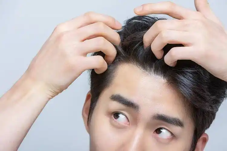 年轻人长白头发是肾不好?拔一根长十根?后悔知道晚了_白发