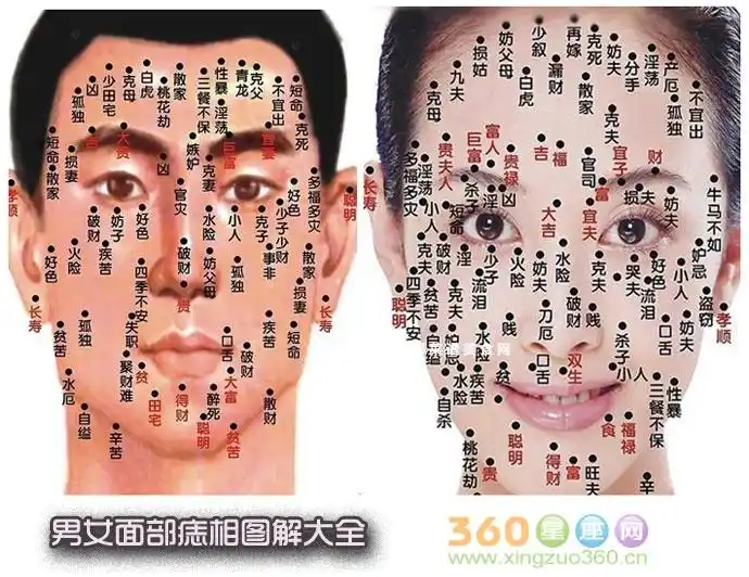 女人全身痣相图解