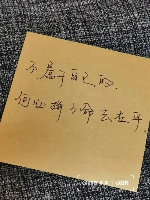 手写分享359期时间到了一切都会过去