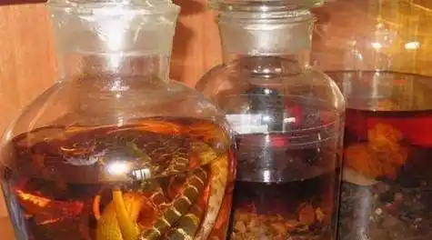 活毒蛇在药酒中浸泡一年,开盖后苏醒咬死人,为何泡这么久还没死_动物
