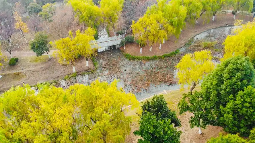 美如画卷三石带你走进秋冬时节的沭阳虞姬生态园