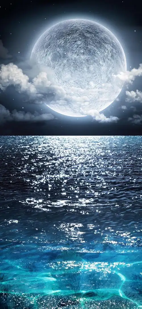 1月28日 12:11   关注  iphone 屏保 壁纸 背景 评论 收藏