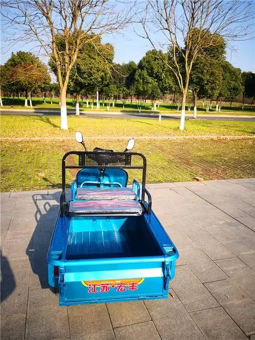 三轮车家用男女电动成人货运快递平板小型电瓶电动三轮车