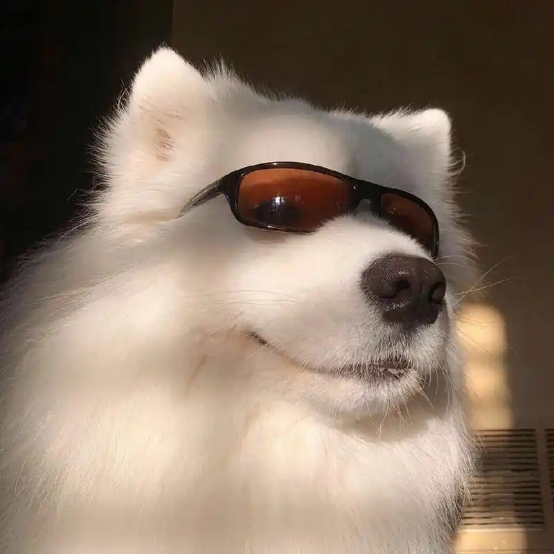 狗狗搞怪头像 7315