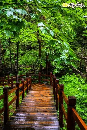 长白山天池,此景只应天上有