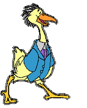 爪子很长,眼睛是黑的是什么鸟_百度知道