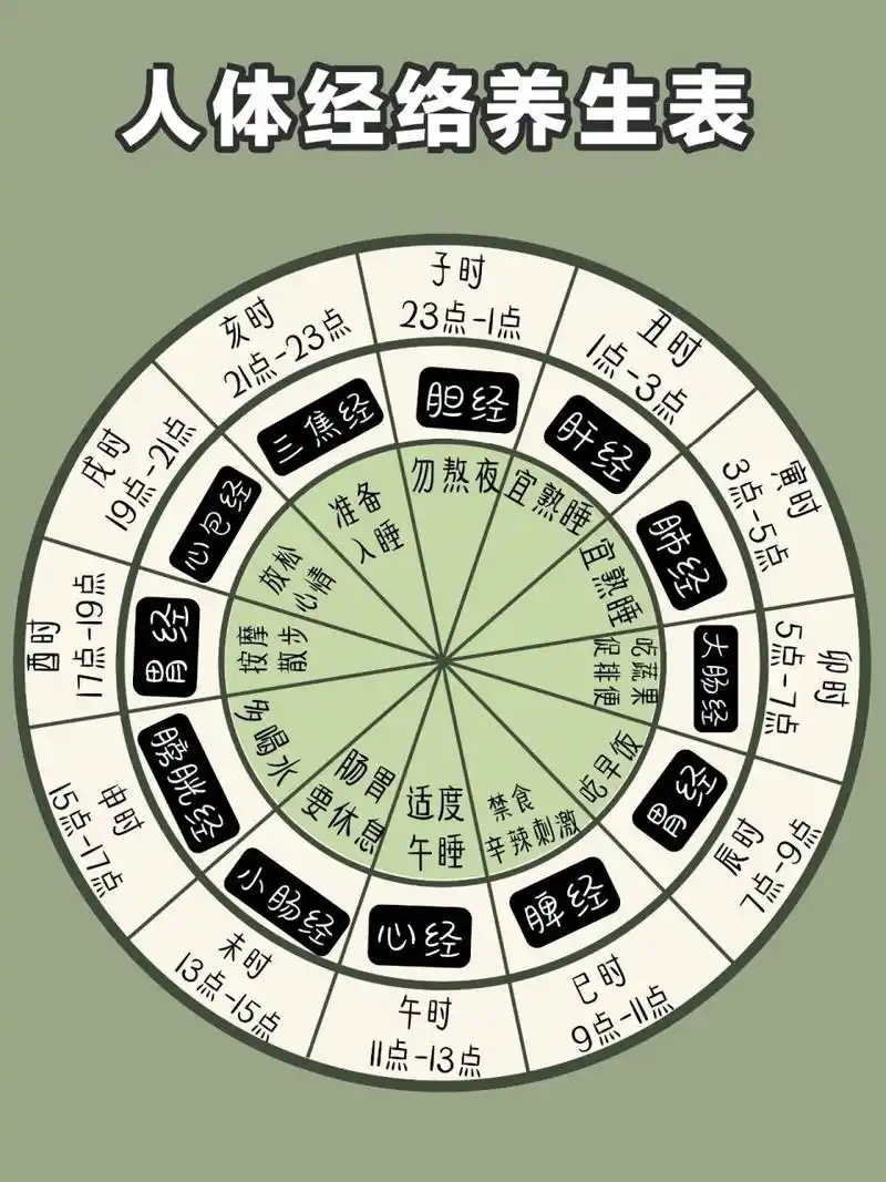 身体造成不好的影响 今天就为大家整理出一份关于十二时辰经络养生表