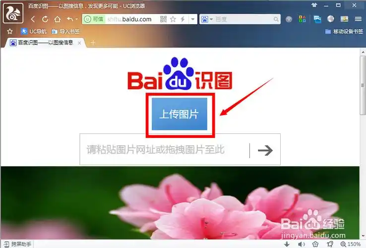 进入百度识图官方网站(shitu.baidu.com),点击"本地上传"按钮.