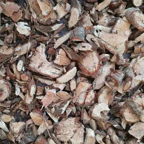 野生白毛桃根 常与半枝莲 白花蛇舌草 铁树叶同用 农村自采 包邮