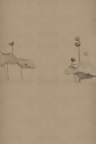 影楼油画背景布摄影复古全家福婚纱照个人艺术写真民国拍照室内背景