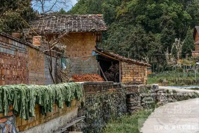 赣州赣县区白鹭村的老屋,蓝天白云下的农村景象,赣南人很熟悉